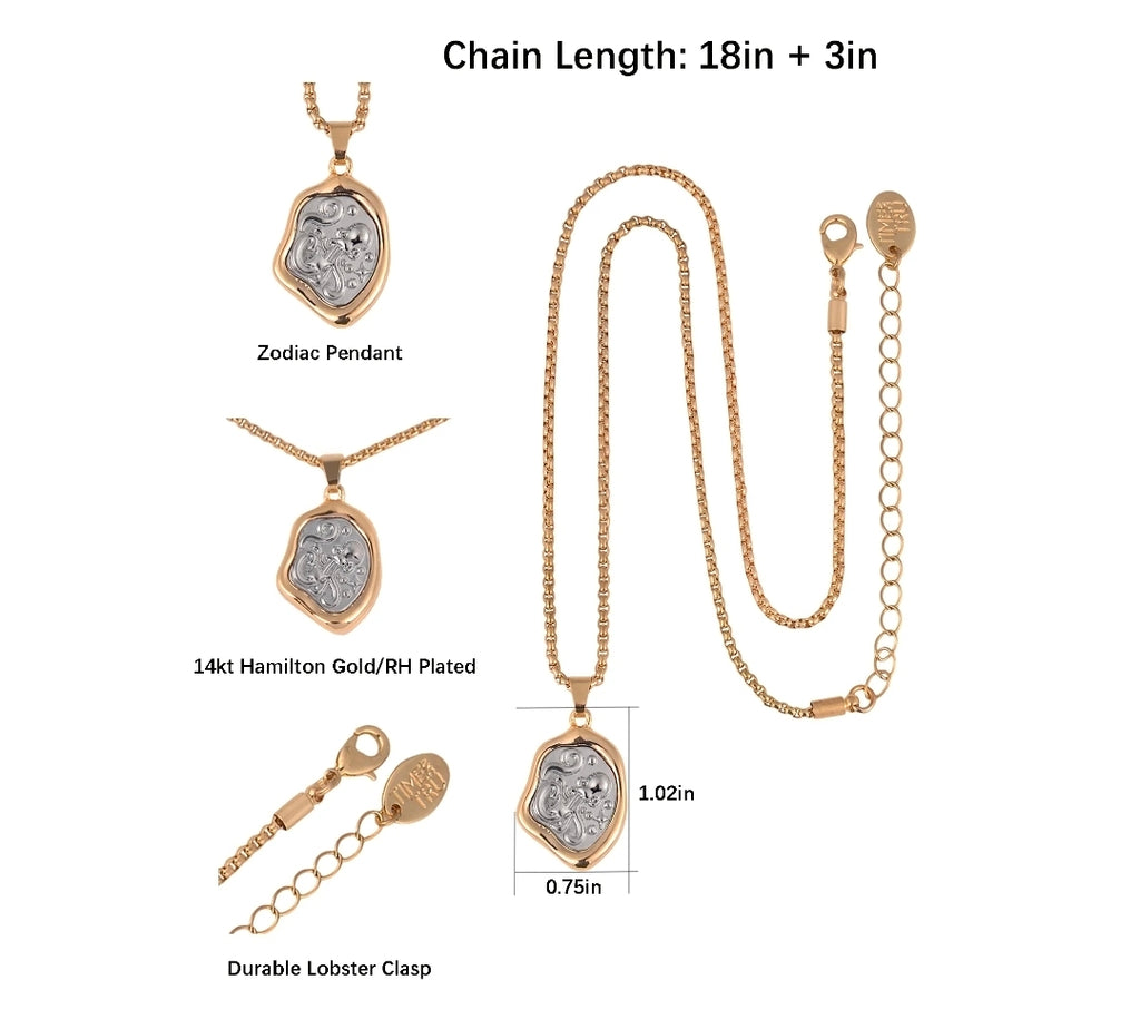 Time and Tru Aquarius Zodiac Reversible Pendant Necklace