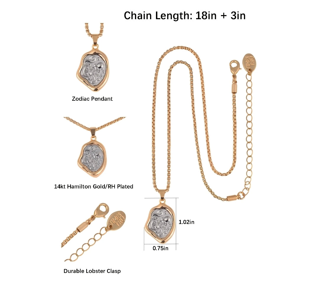 Time and Tru Aquarius Zodiac Reversible Pendant Necklace